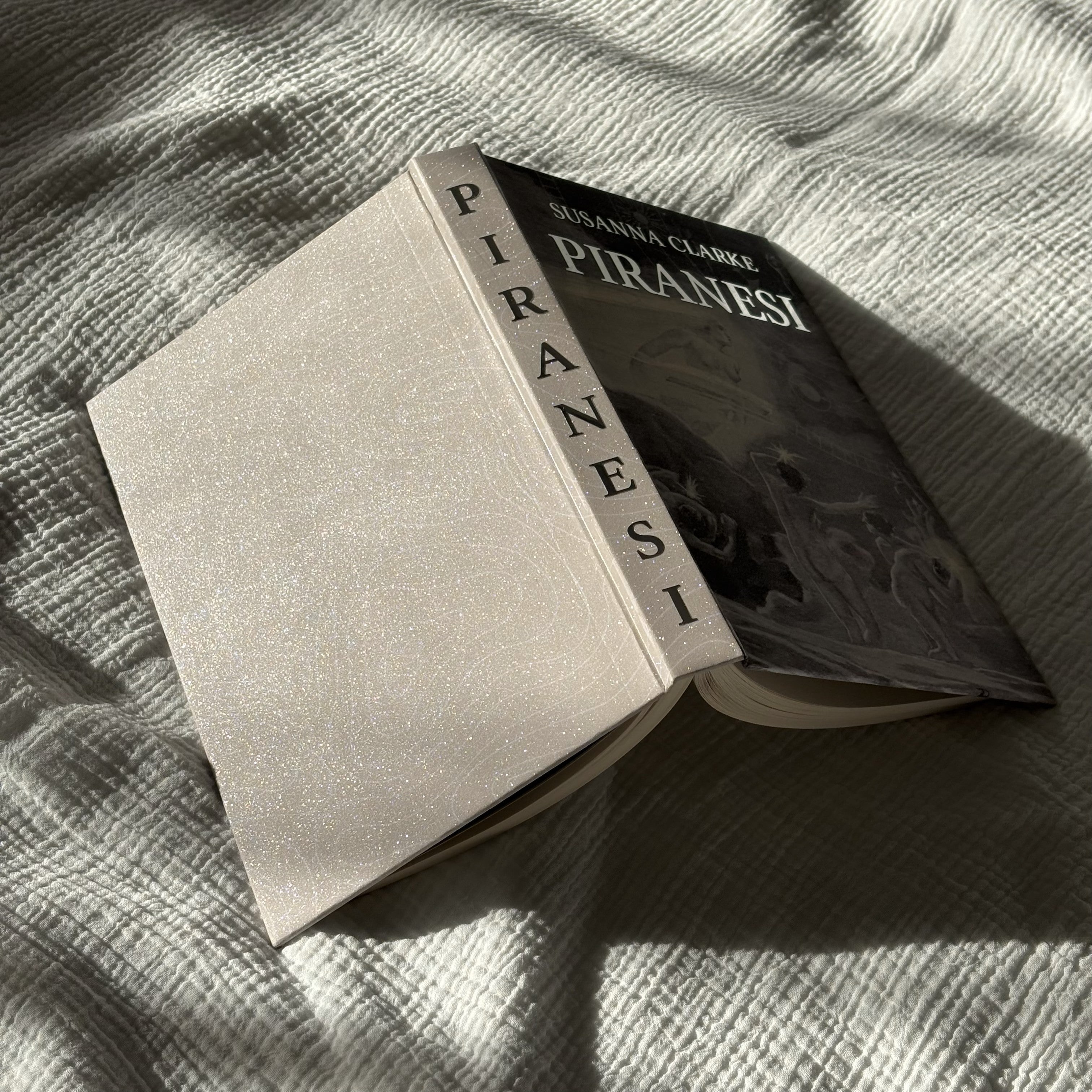 Piranesi Rebind Glitter Special Edition
