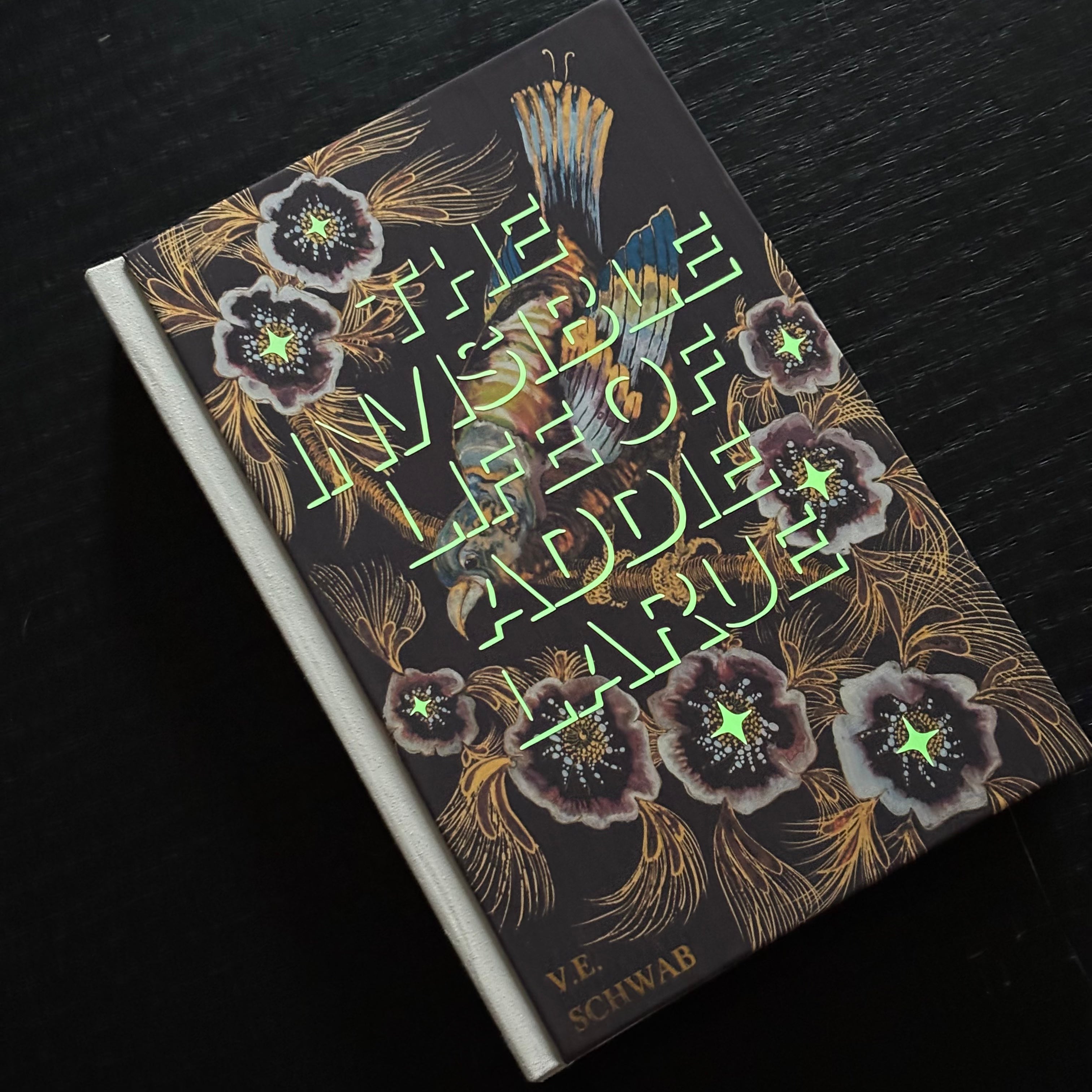 The Invisible Life of Addie LaRue V.E. Schwab Rebind glow in the dark
